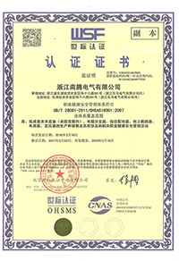 職業體系